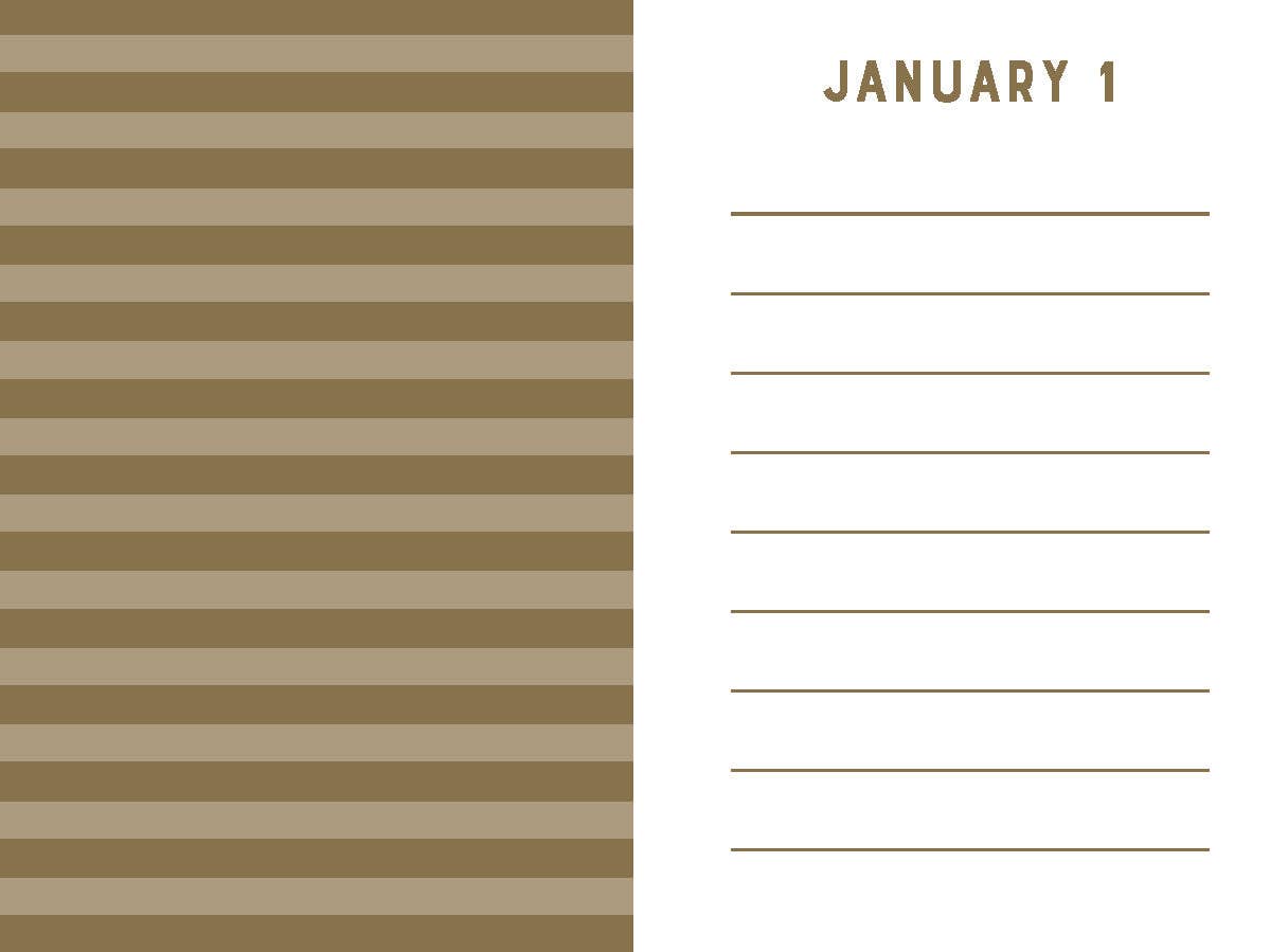 Navy Stripes Mini One Line a Day - Box Turtle