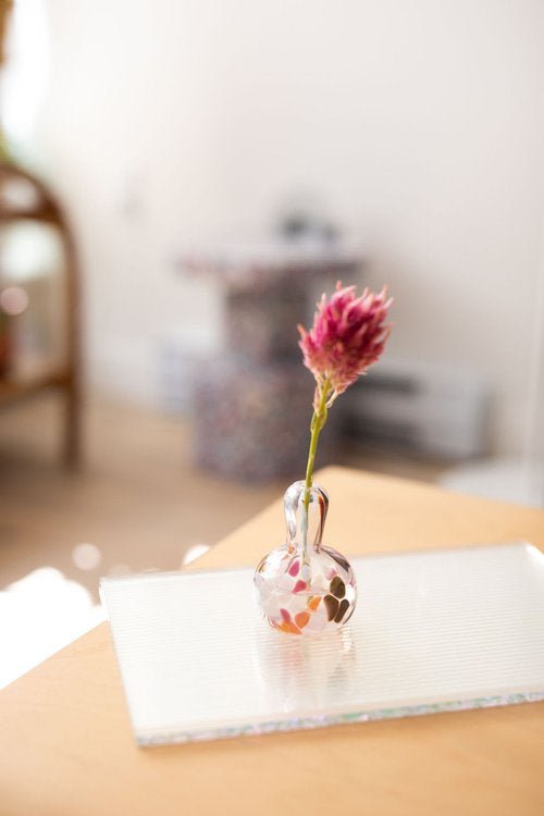 Neapolitan Mini Vases - Box Turtle