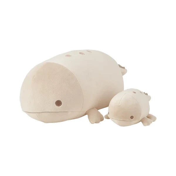 Nemu Small Giant Salamander - Box Turtle