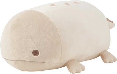 Nemu Small Giant Salamander - Box Turtle
