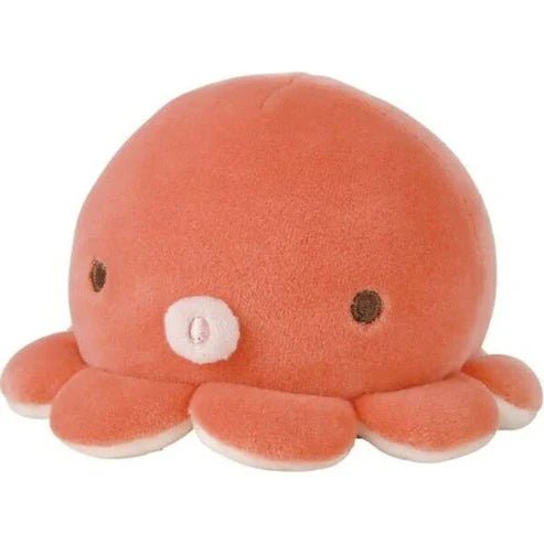 Nemu Small Octopus - Box Turtle