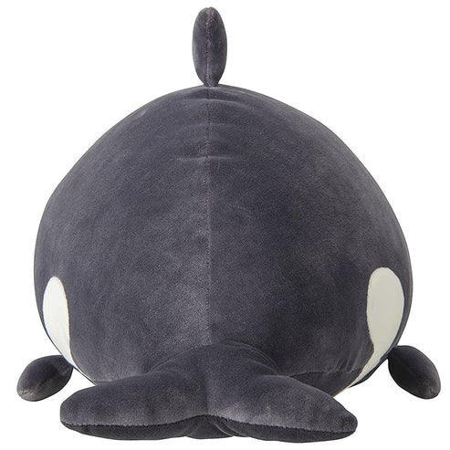 Nemu Small Orca - Box Turtle