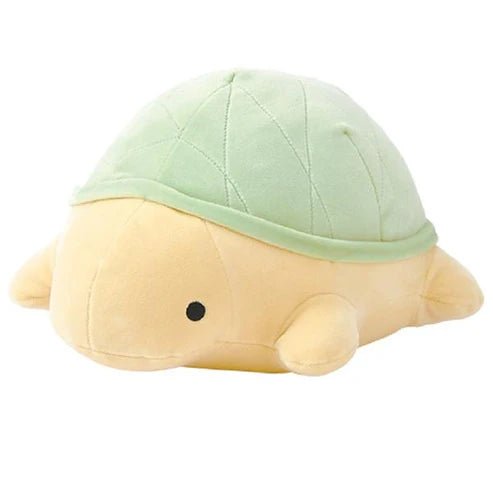 Nemu Small Turtle - Box Turtle