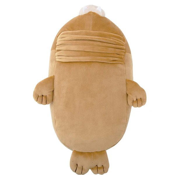 Nemu Small Walrus - Box Turtle