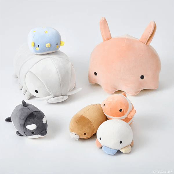 Nemu Small Walrus - Box Turtle