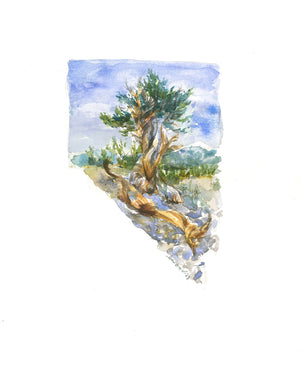 Emily Wood State Tree Watercolor Prints