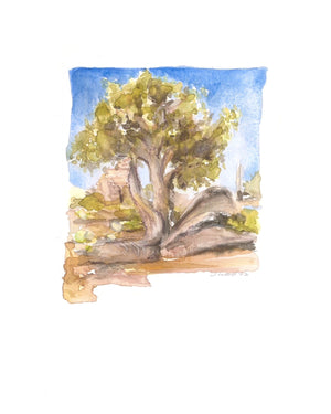 Emily Wood State Tree Watercolor Prints