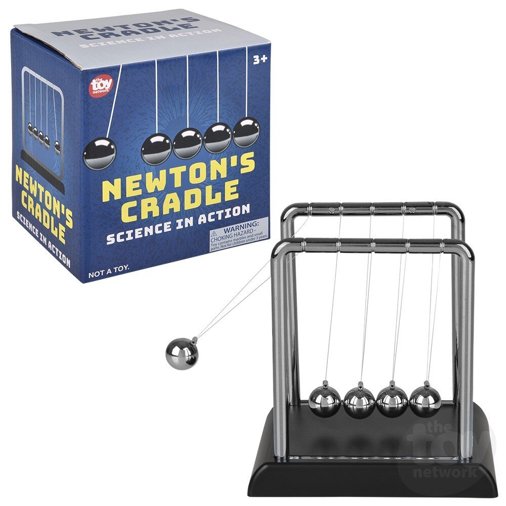 Newton's Cradle - Box Turtle
