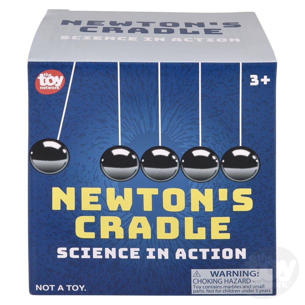 Newton's Cradle - Box Turtle