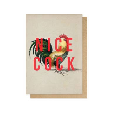 Nice Cock Greetings Card - Box Turtle