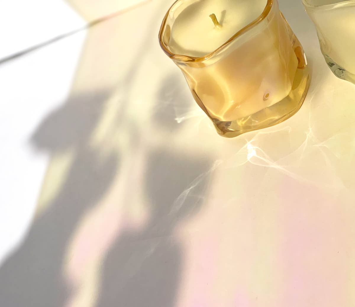 No. 3 Moss + Amber Candle - Box Turtle