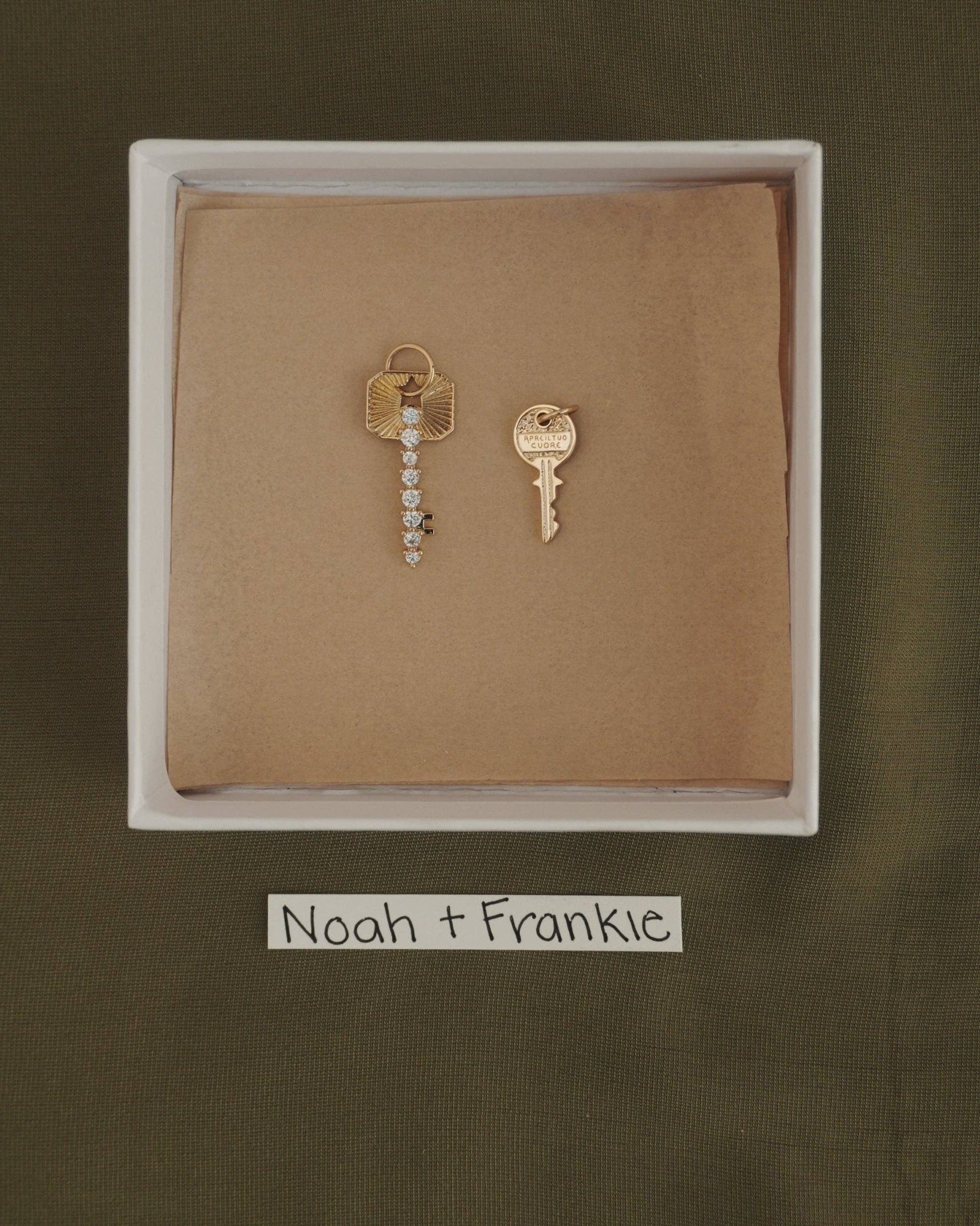 Noah Key Charm - Box Turtle