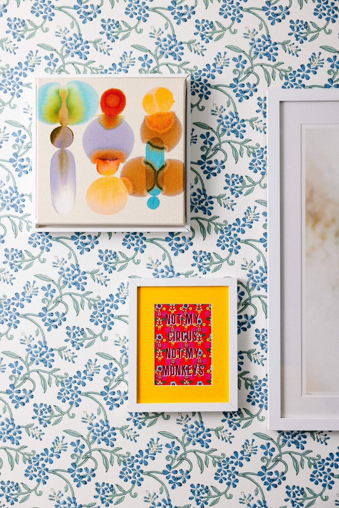 Not My Circus Print - Box Turtle