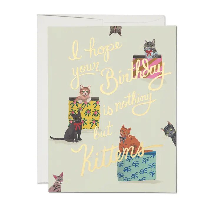 Nothing But Kittens Birthday Greeting Card - Box Turtle