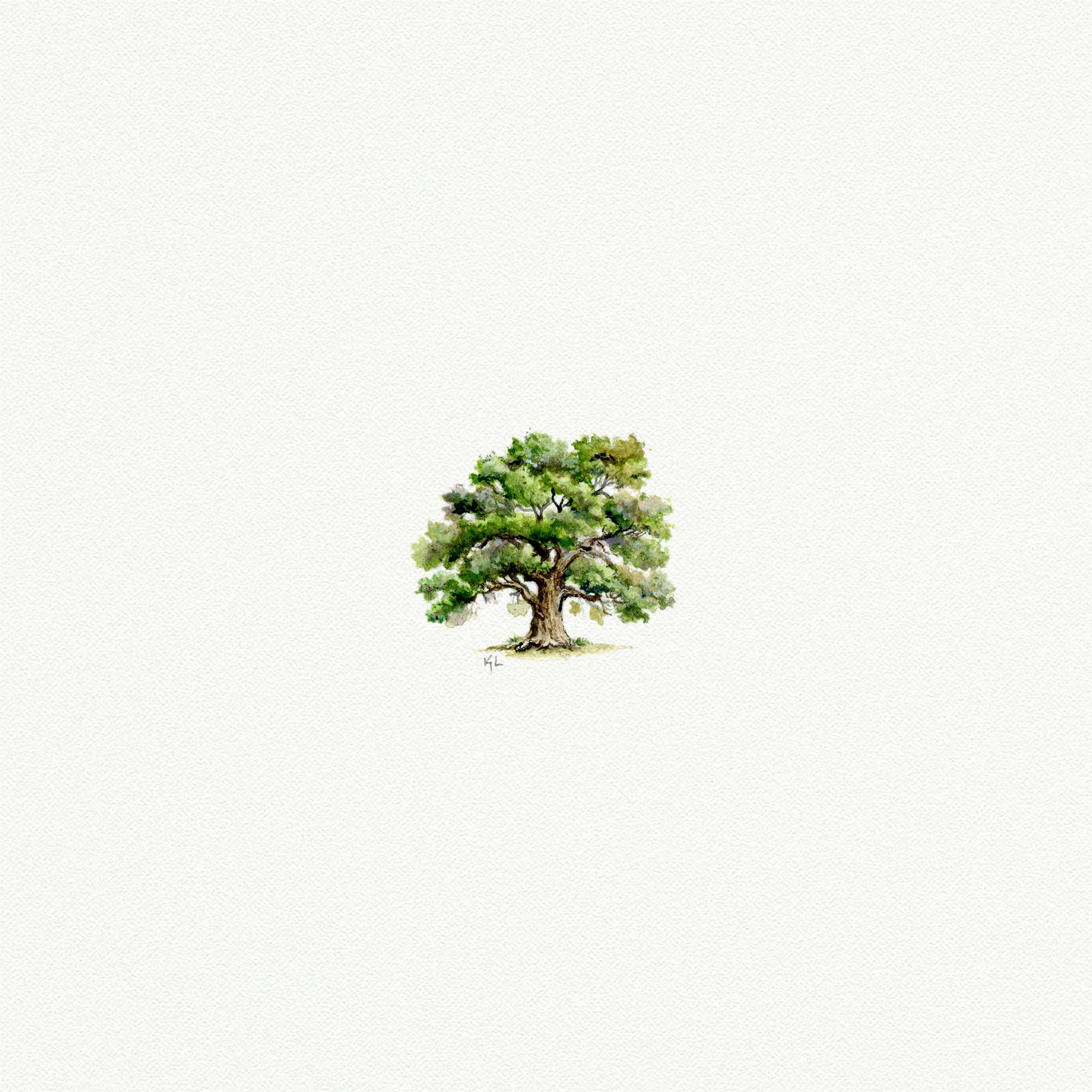 Oak Tree Miniature Watercolor Print - Box Turtle