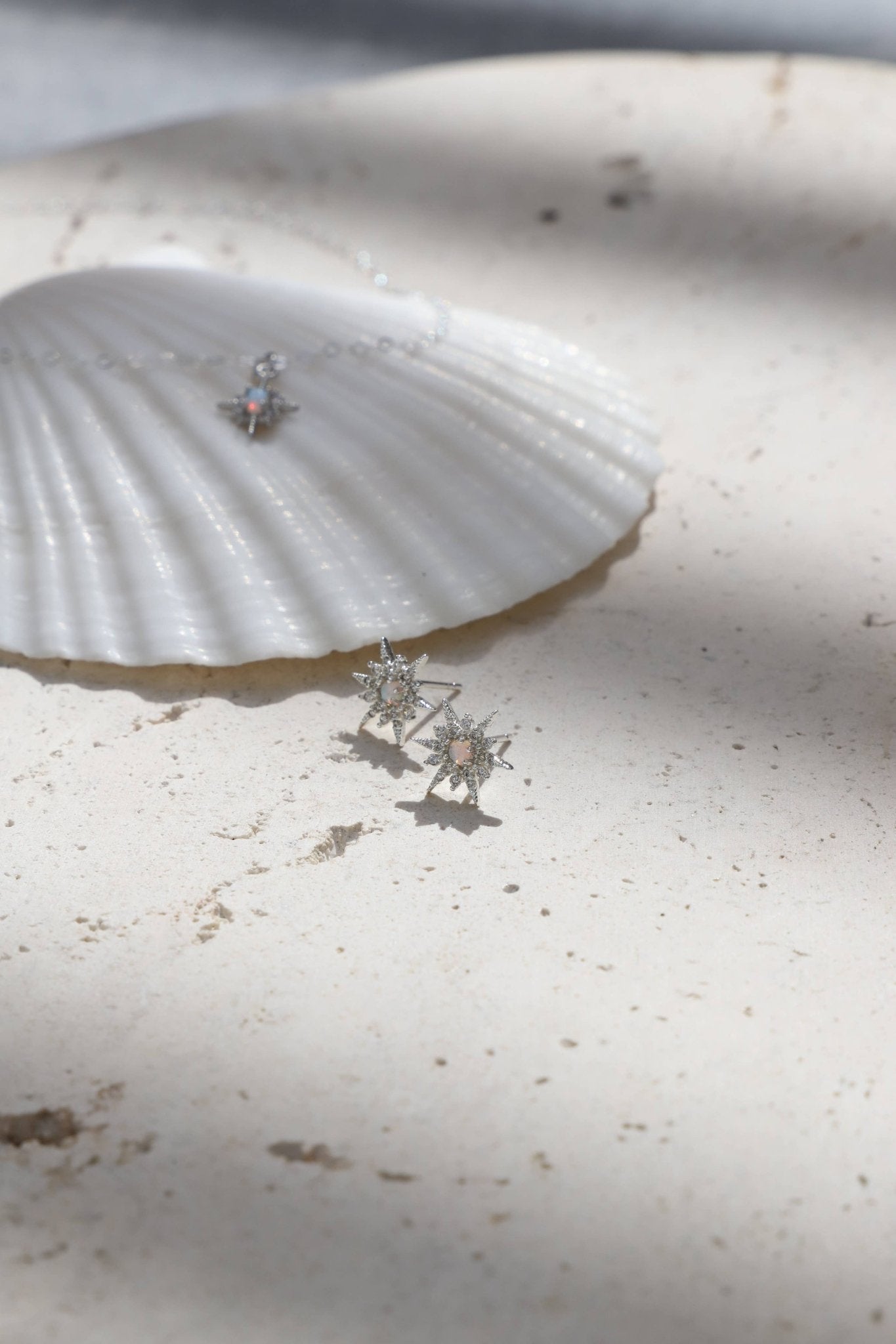 Oal Star Studs - Silver - Box Turtle