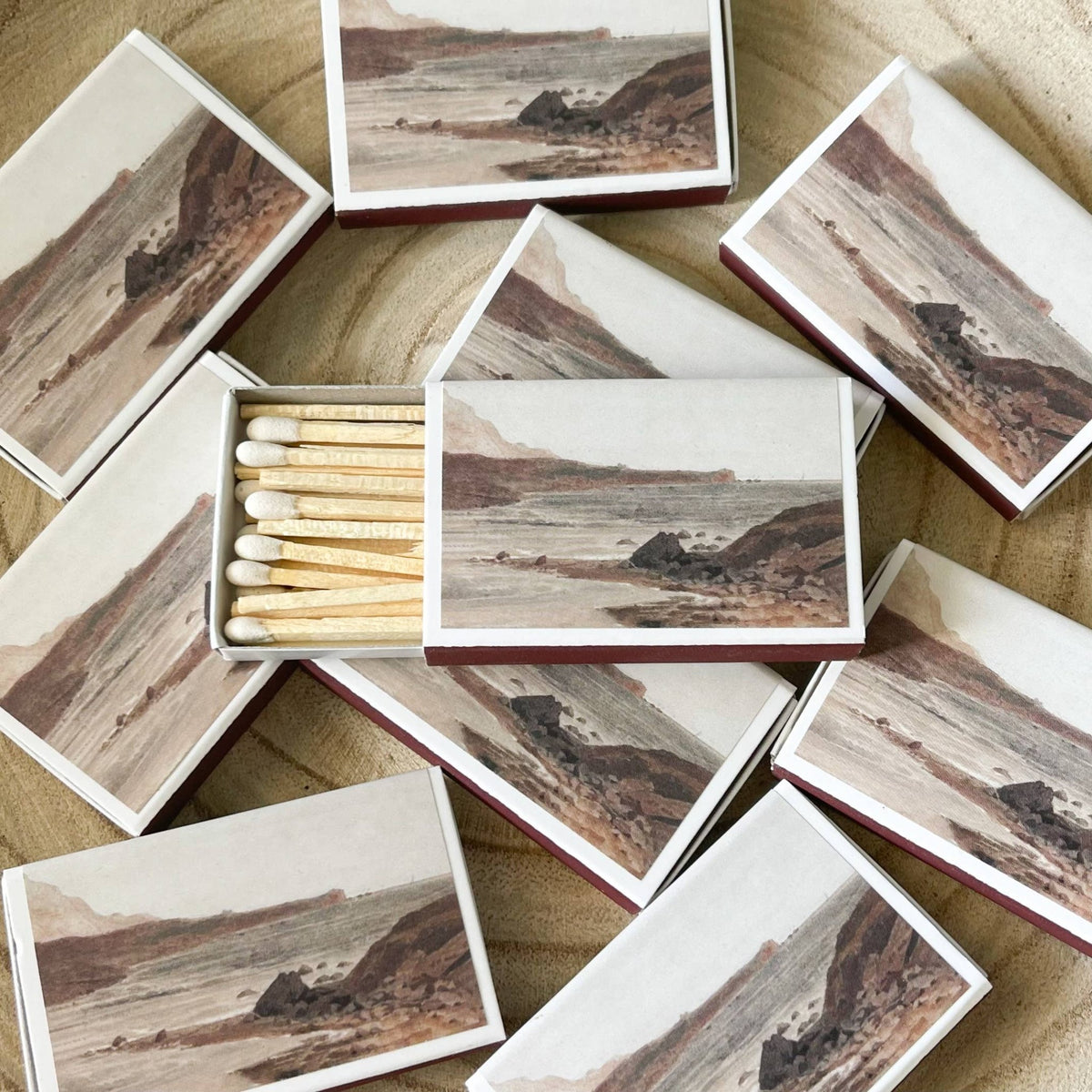 Ocean Matches - Box Turtle