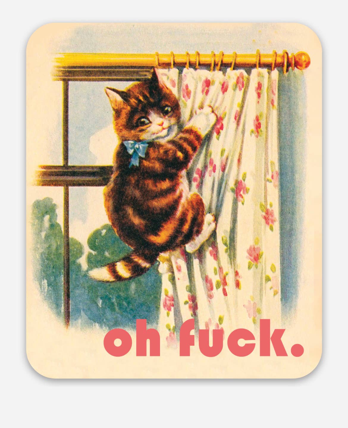 Oh Fuck Kitty Sticker - Box Turtle