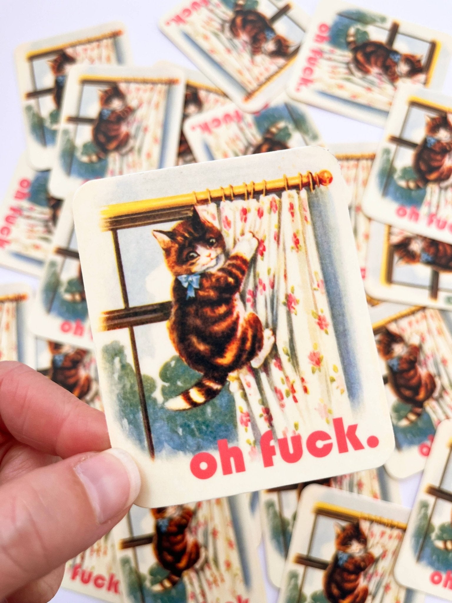 Oh Fuck Kitty Sticker - Box Turtle