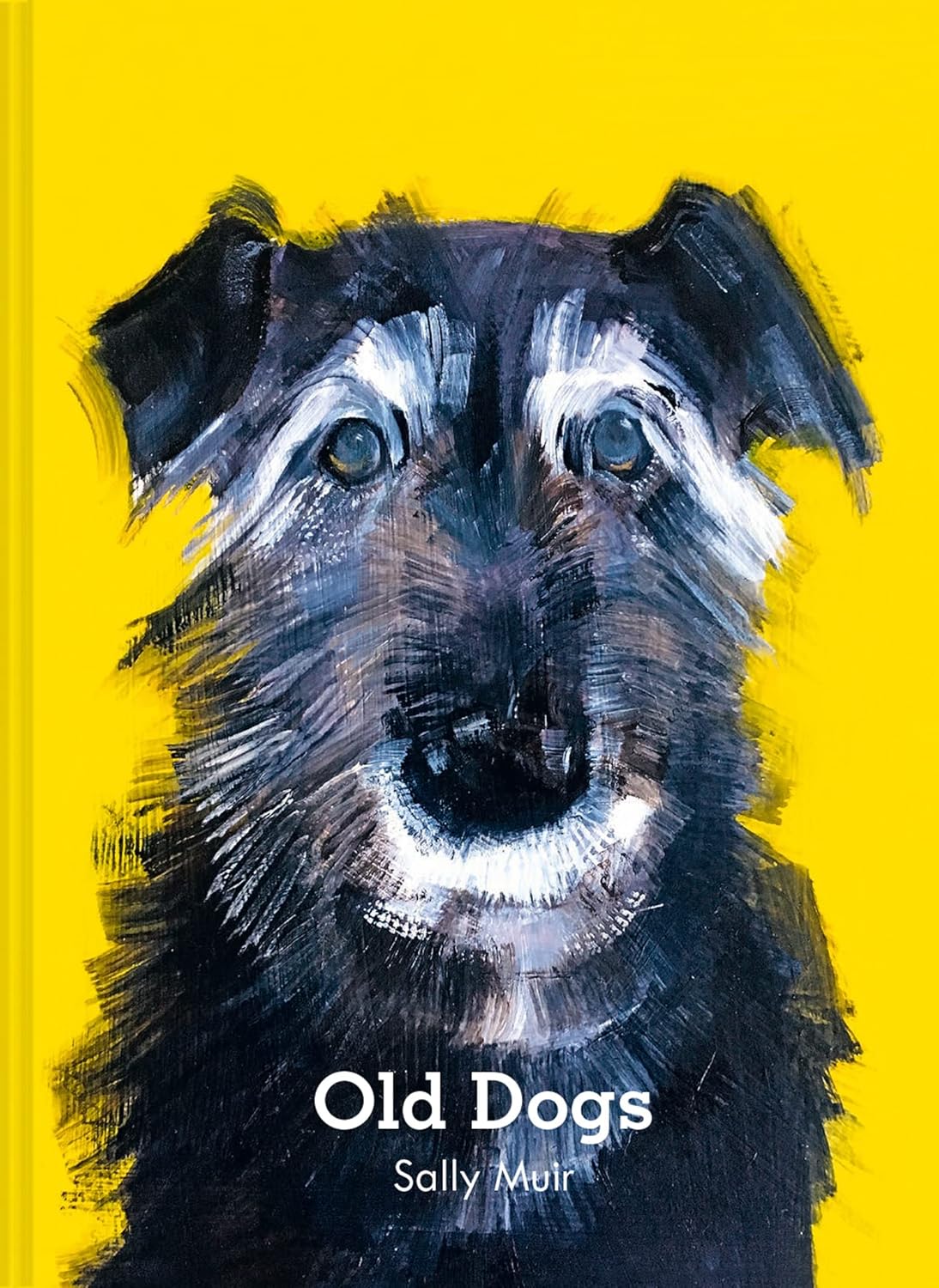 Old Dogs - Box Turtle