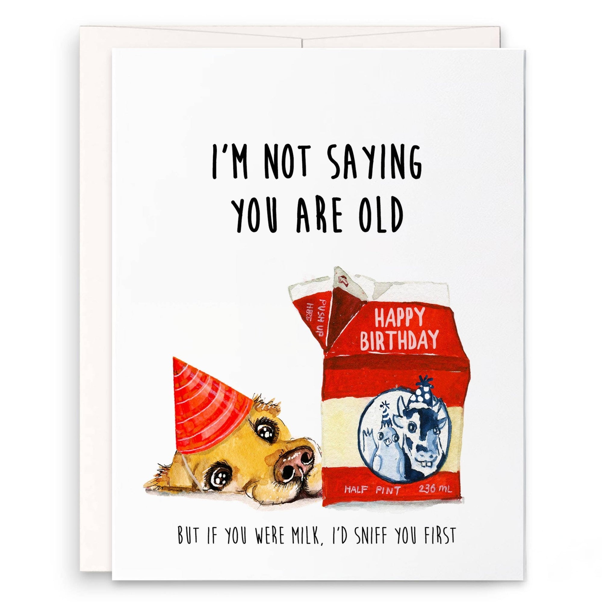 Old Milk Birthday - Funny Birthday Card - Box Turtle