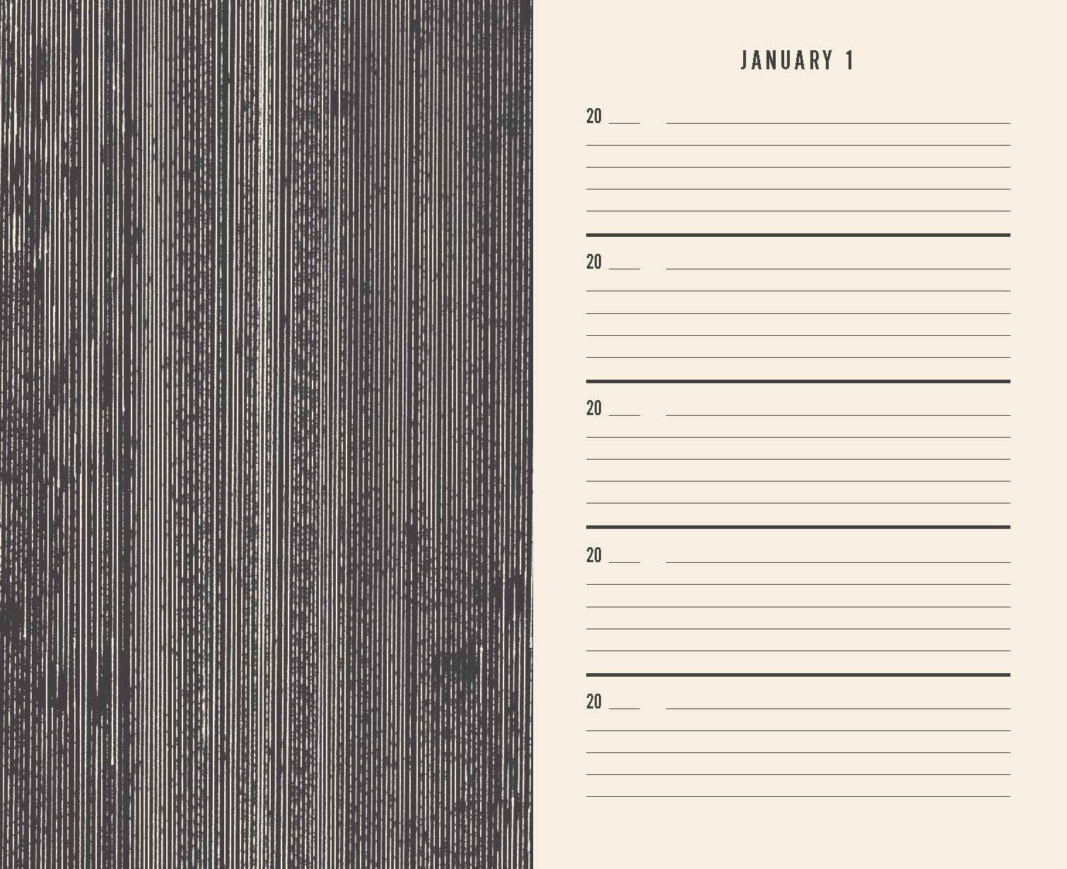One Line a Day Canvas Journal - Box Turtle