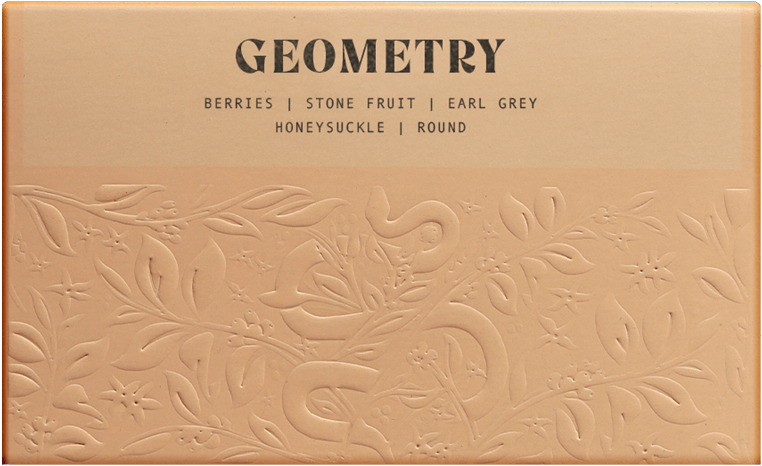 Onyx Coffee - Geometry Medium Roast - Box Turtle