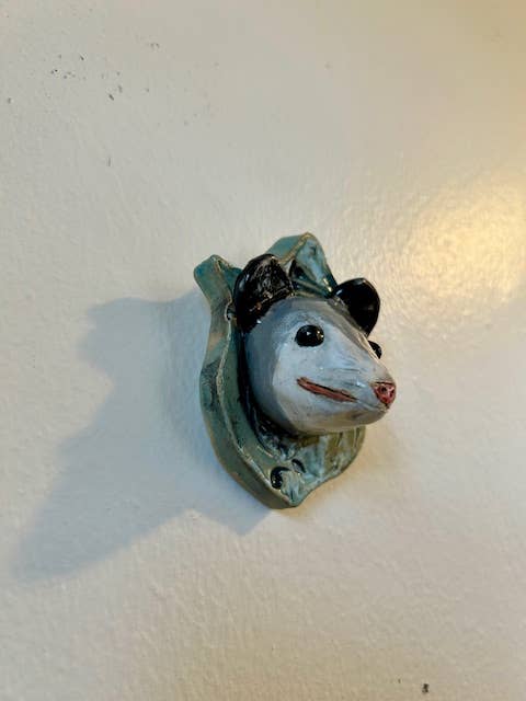 Opossum on a Plaque - Box Turtle