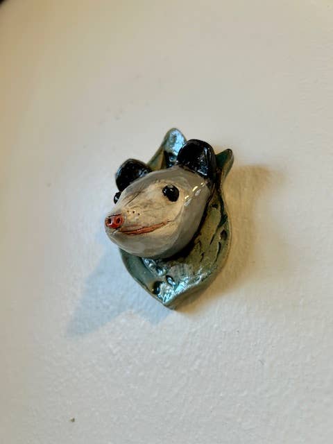 Opossum on a Plaque - Box Turtle