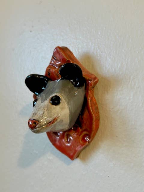 Opossum on a Plaque - Box Turtle