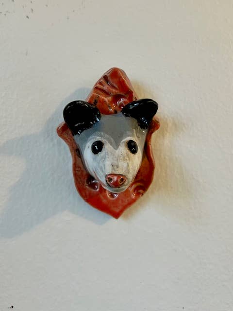 Opossum on a Plaque - Box Turtle