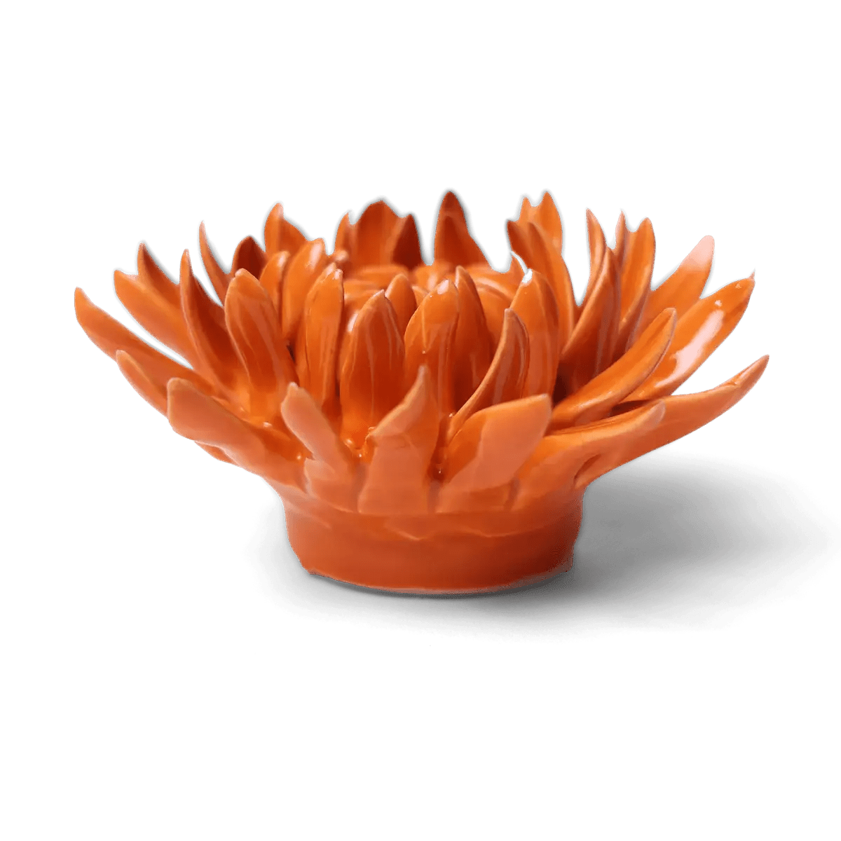 Orange Mum Ceramic Flower - Box Turtle