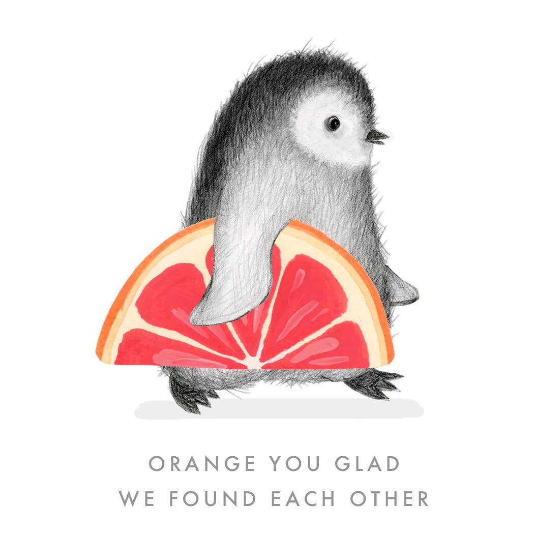 Orange You Glad - Box Turtle