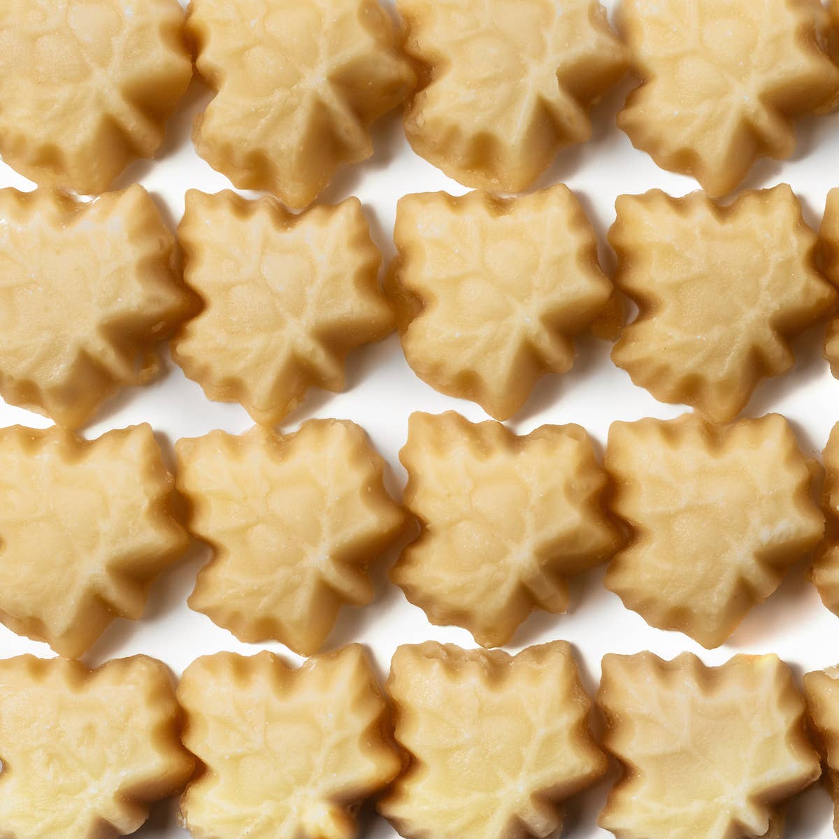 Organic Vermont Maple Sugar Candy - Box Turtle