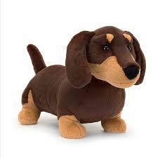 Otto Sausage Dog - Box Turtle