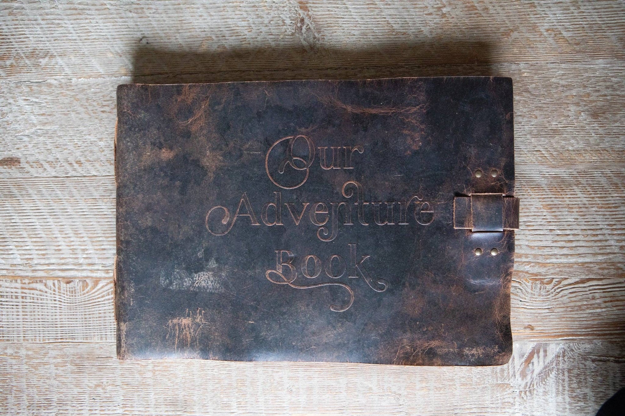 "Our Adventure" Story Keeper in Bark - Box Turtle