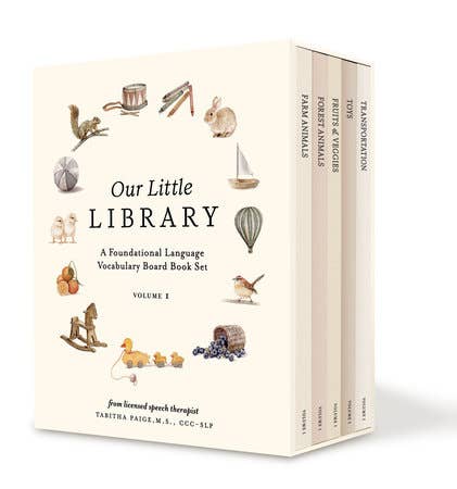 Our Little Library - Box Turtle