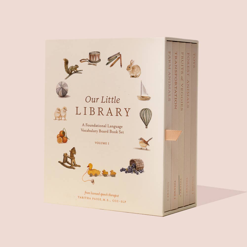 Our Little Library - Box Turtle