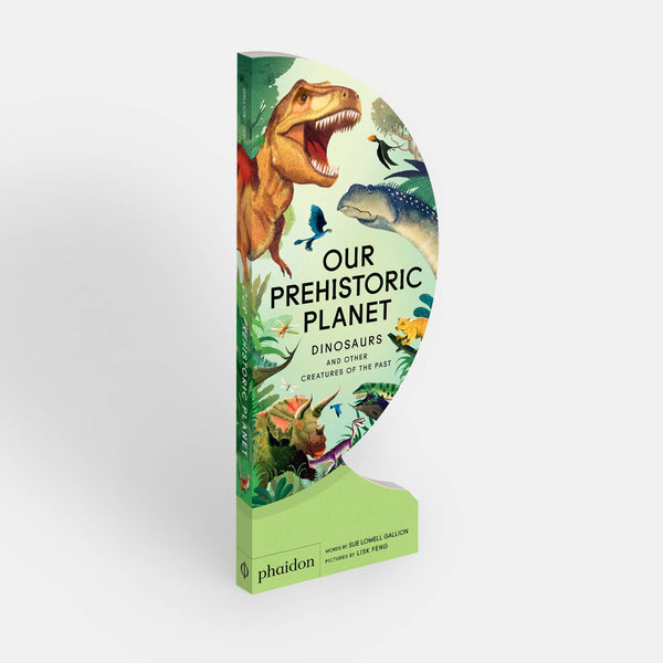 Our Prehistoric Planet - Box Turtle