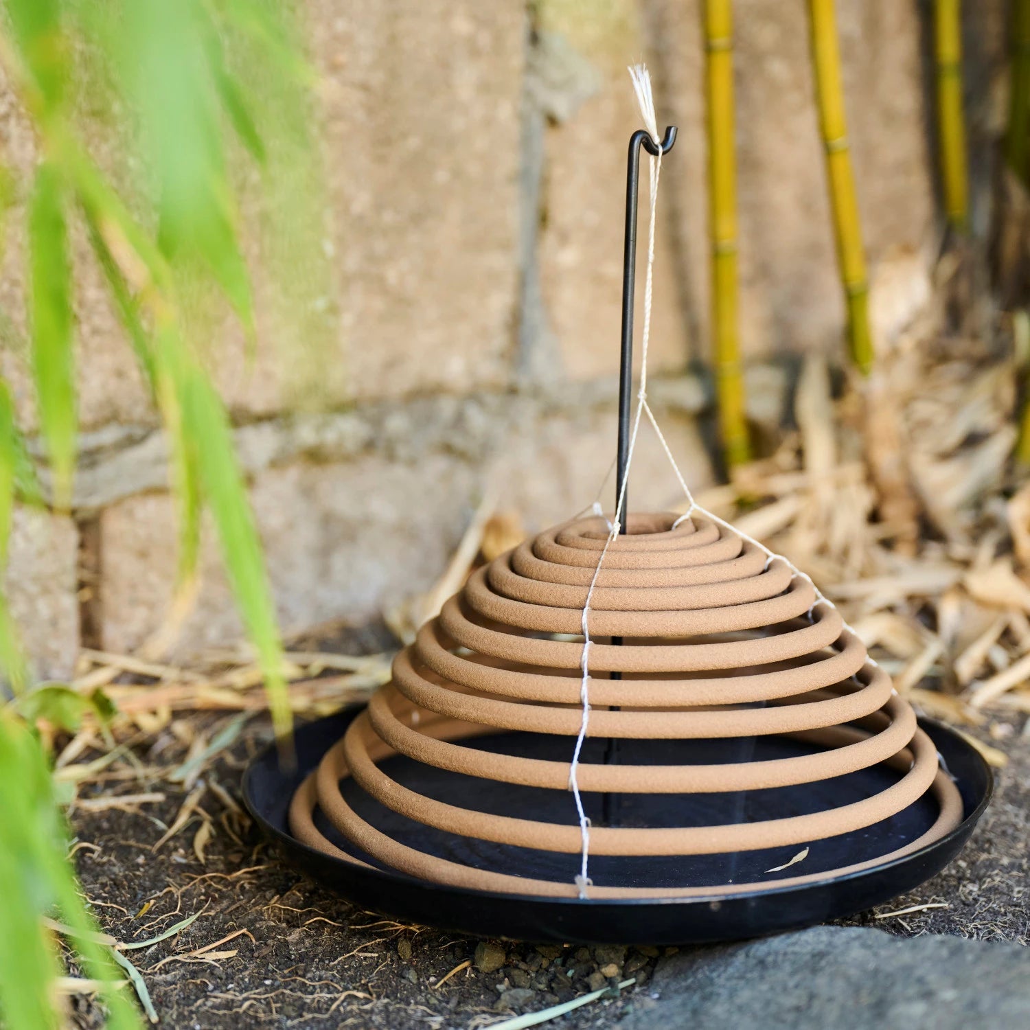 Outdoor Hanging Incense Coils - Box Turtle