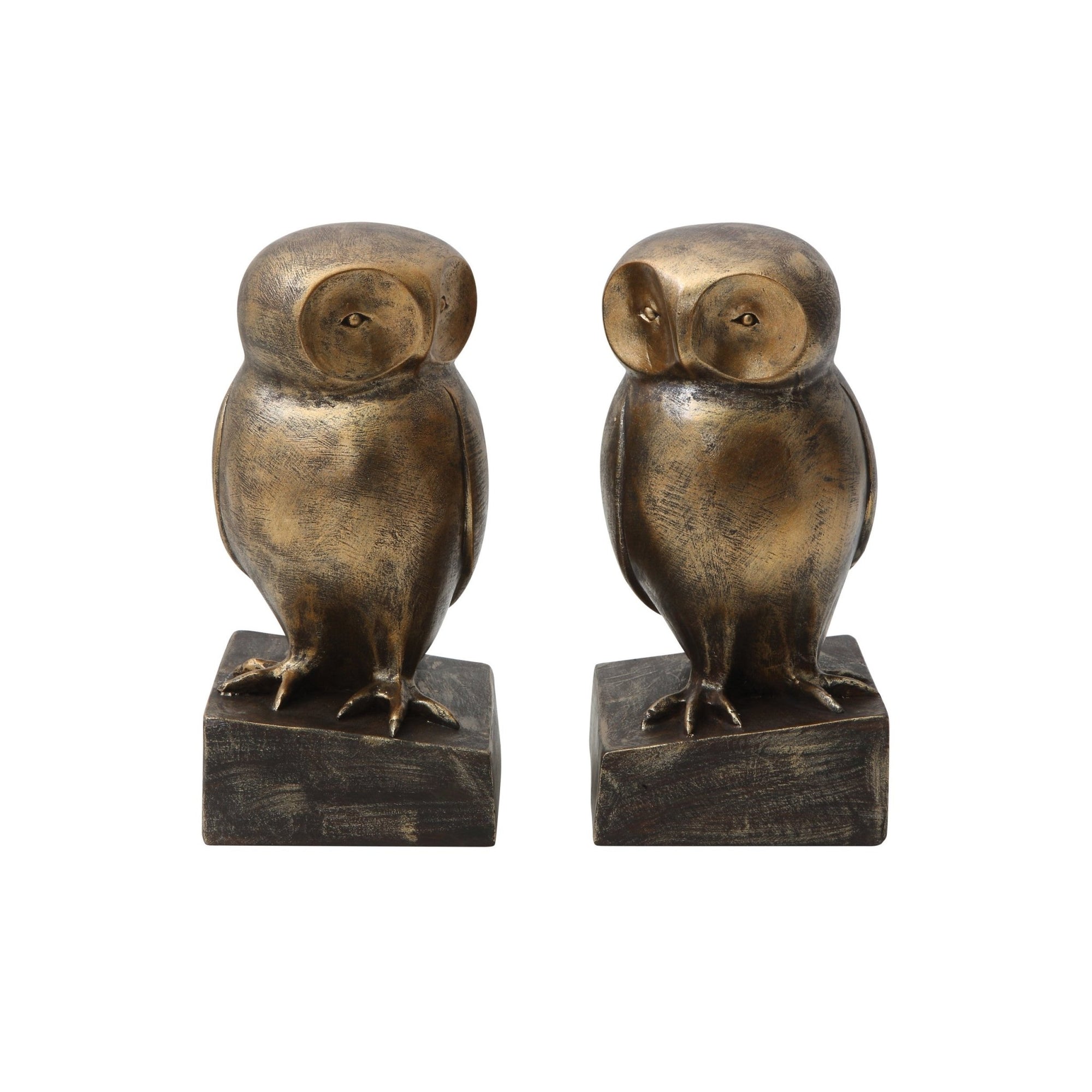 Owl Bookends - Box Turtle