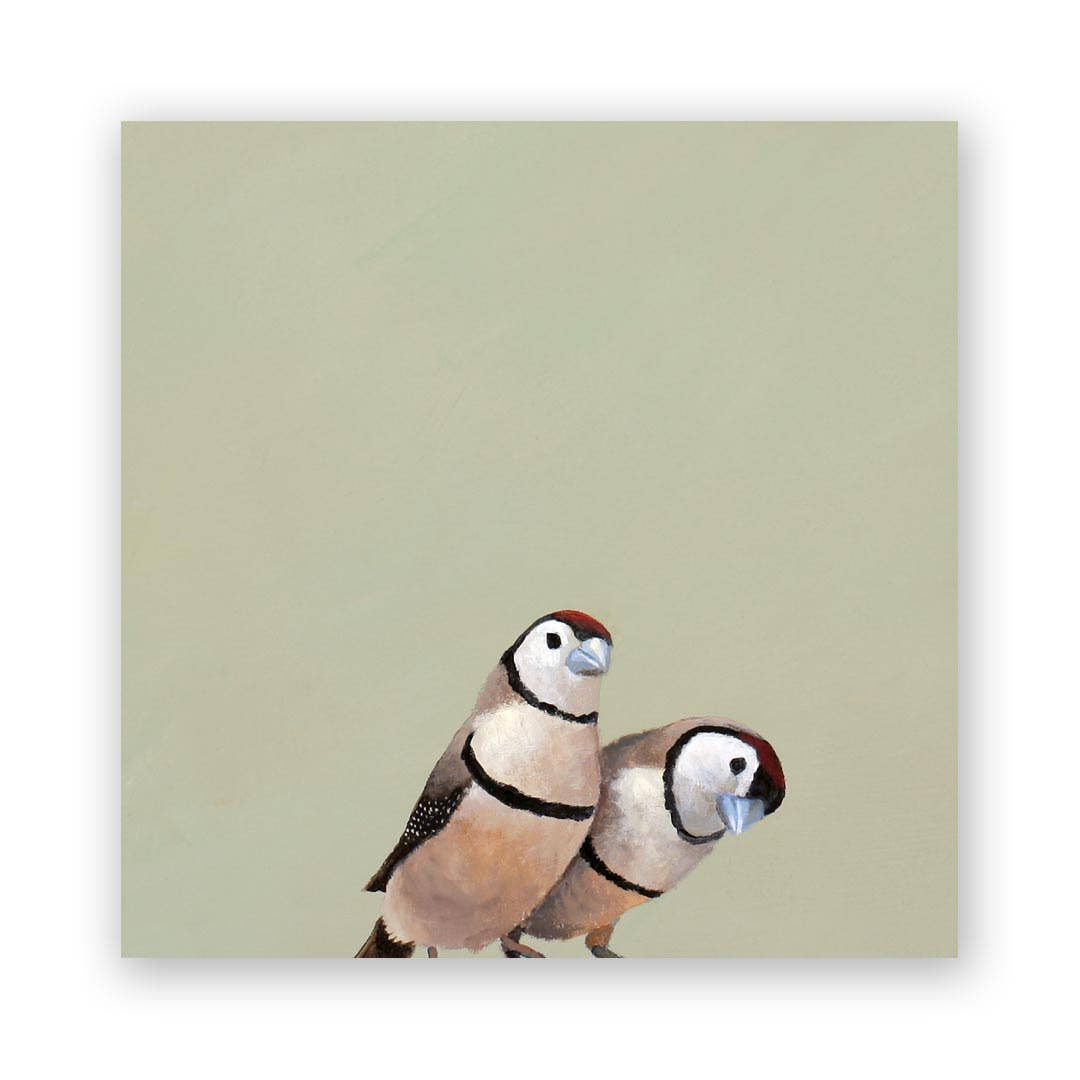 Owl Finch Pair Wall Art Decor - Box Turtle
