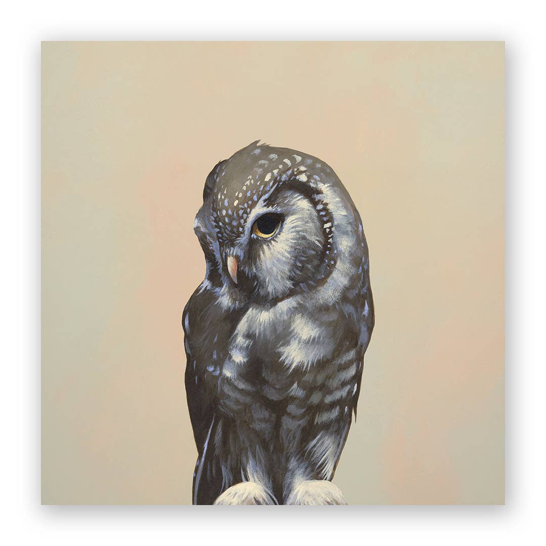 Owl Wood Wall Art Decor - 10 inch - Box Turtle