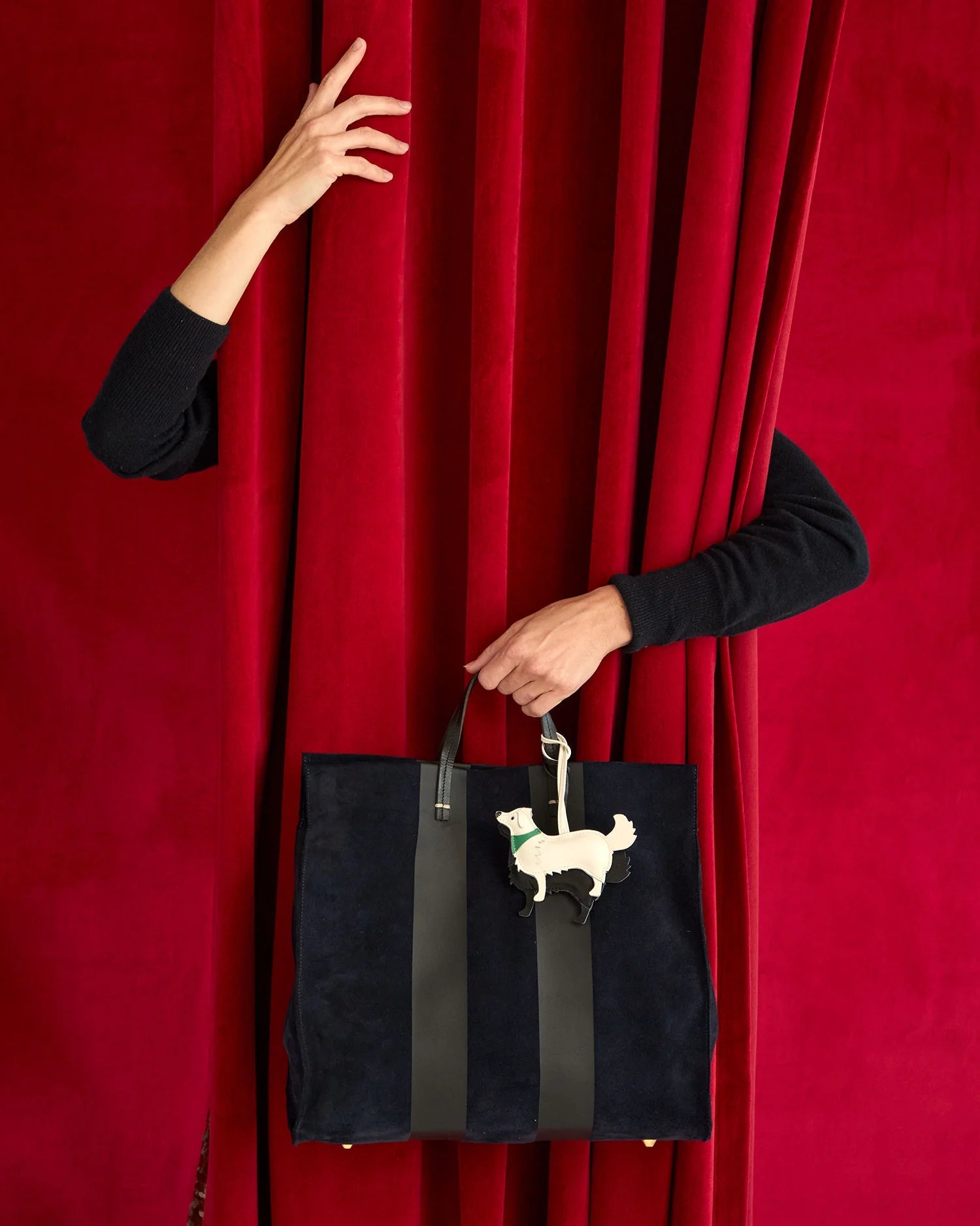 Paco Dog Fob - Box Turtle