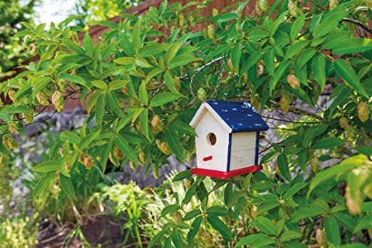 Paint A Birdhouse Kit - Box Turtle
