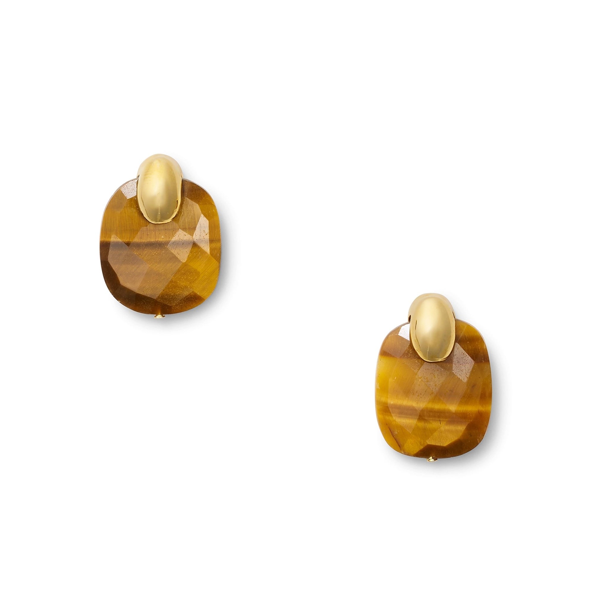 Palazzo Tiger's Eye Earring - Box Turtle