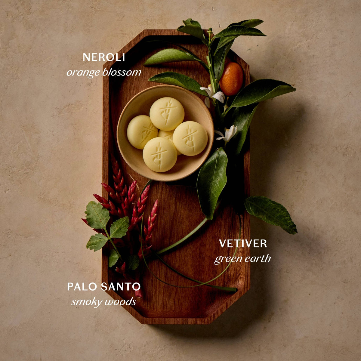 Palo Santo &amp; Vetiver Pebble Bath &amp; Shower Oil - Box Turtle
