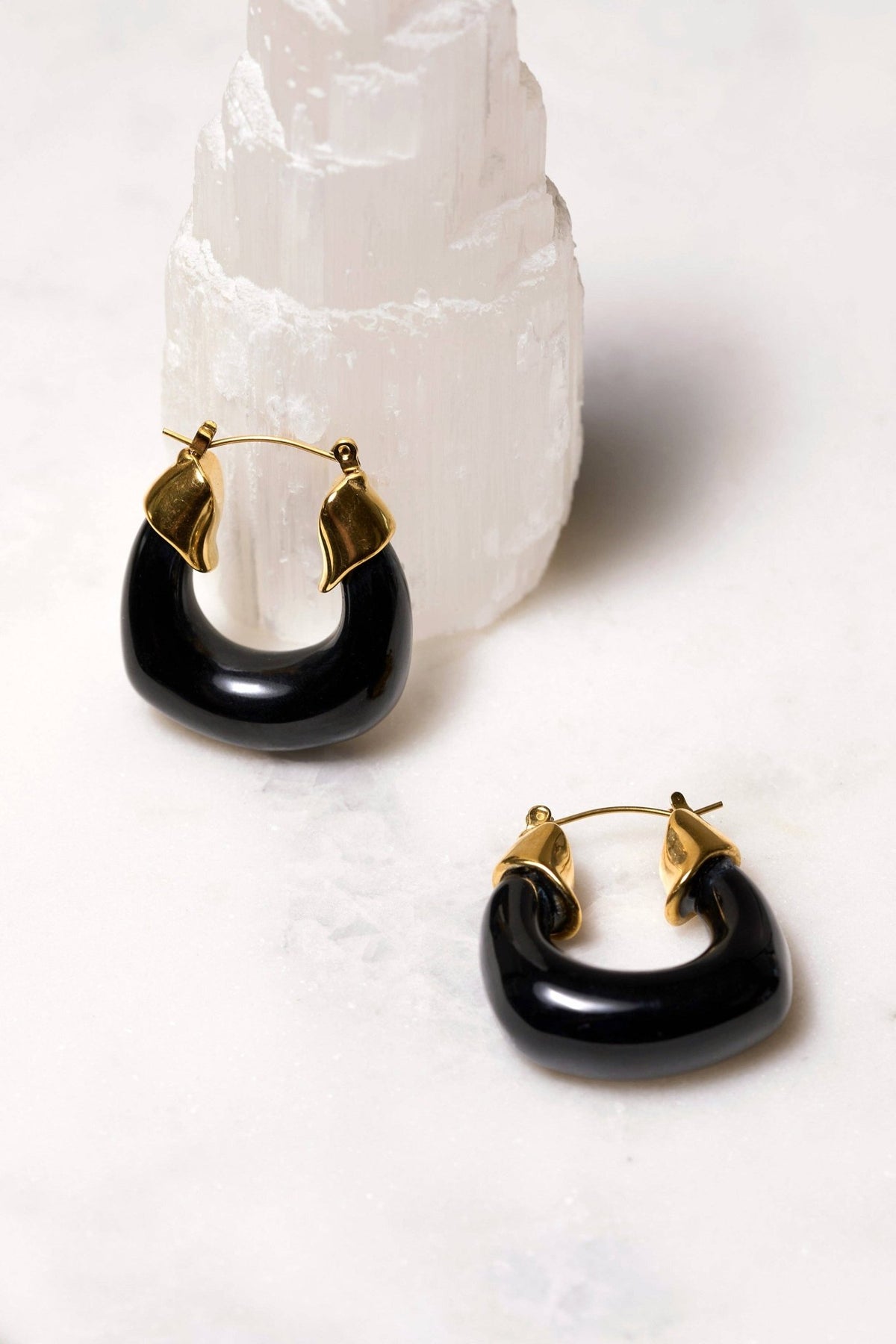 Paloma Hoops - Box Turtle