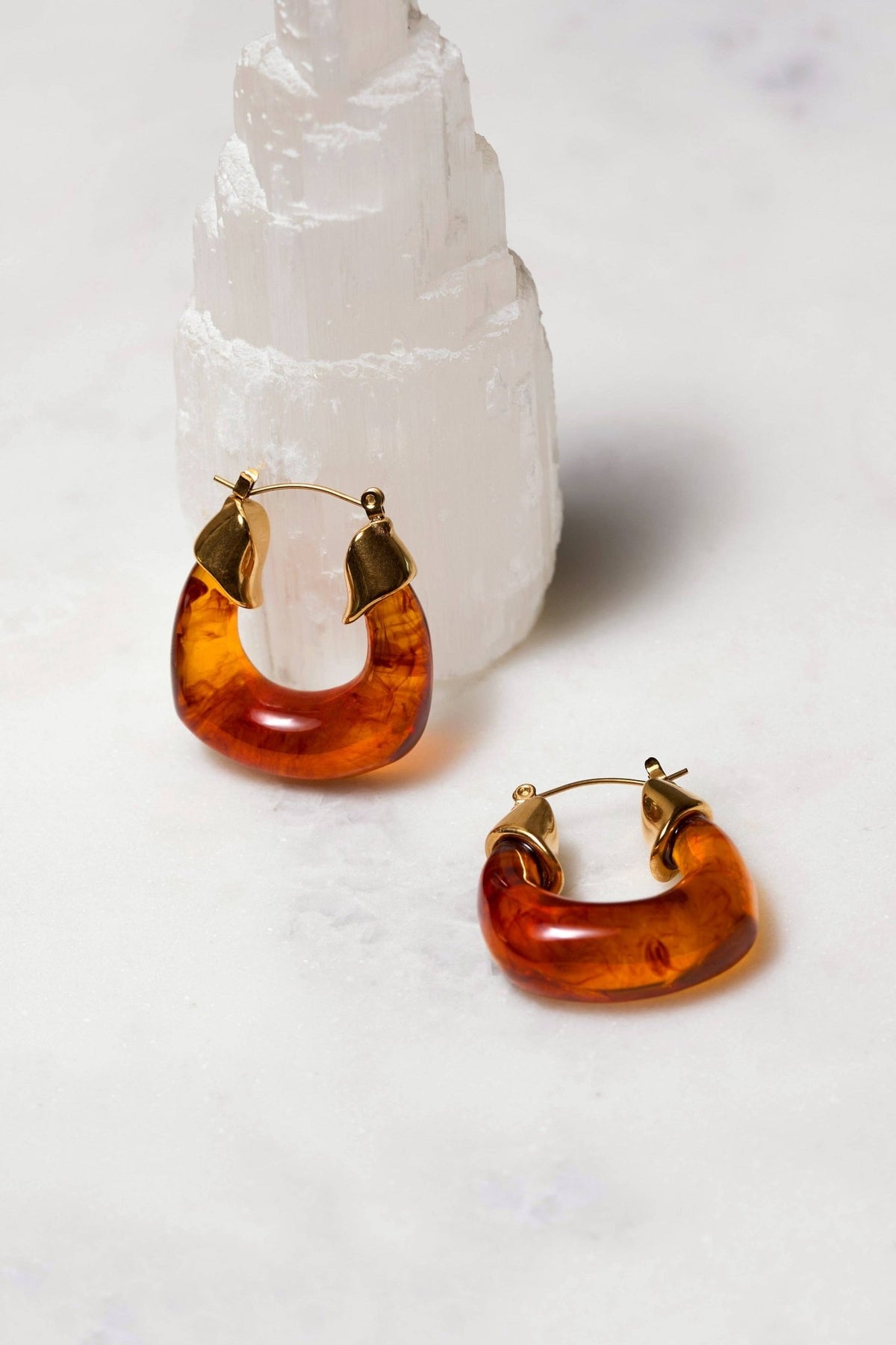 Paloma Hoops - Box Turtle