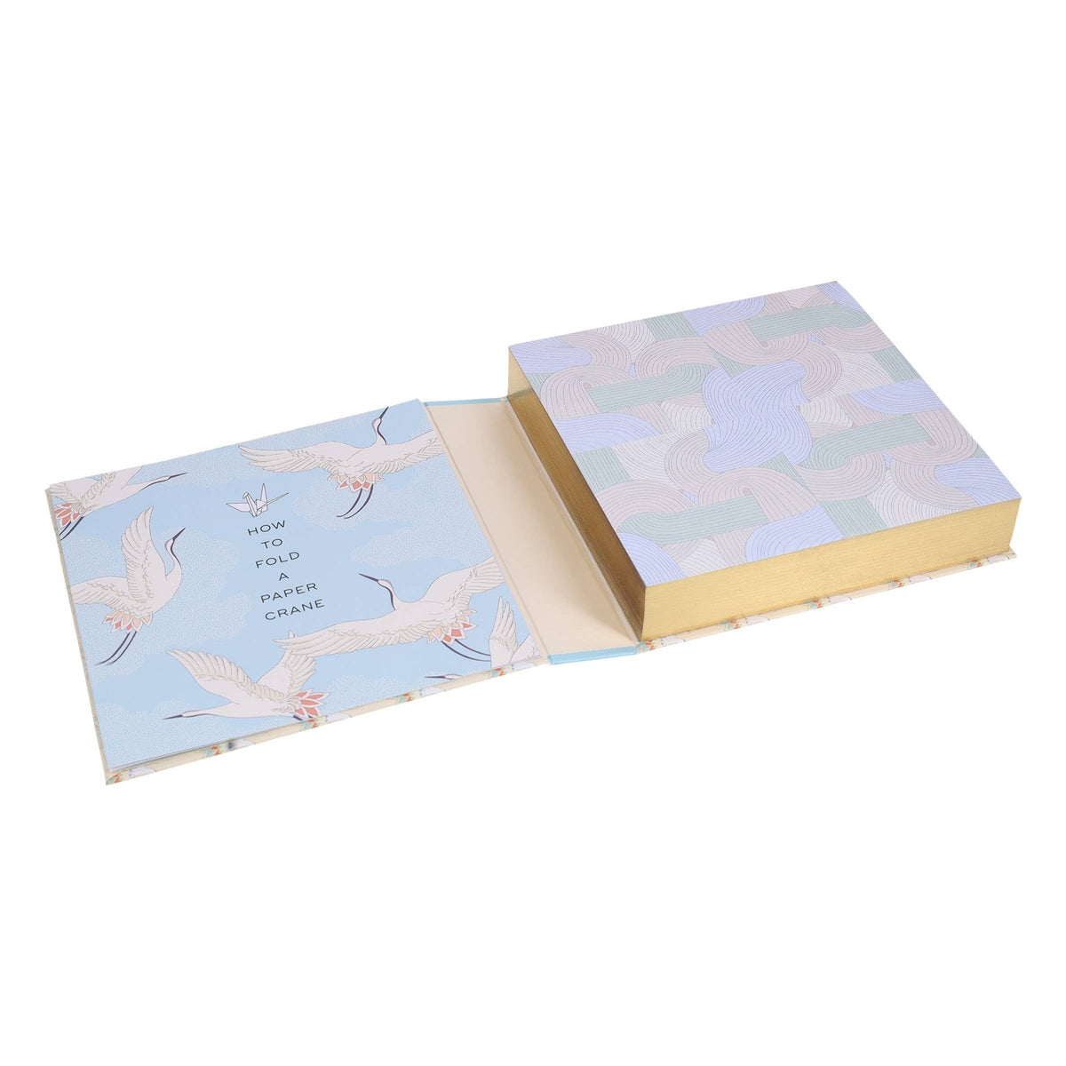 Paper Crane a Day - Box Turtle